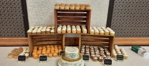 2 tier cake and cupcake 2